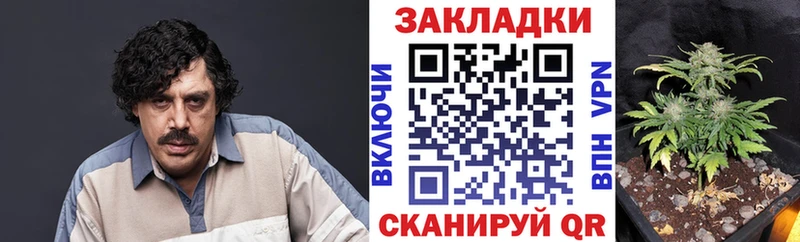  КОКАИН Южа
