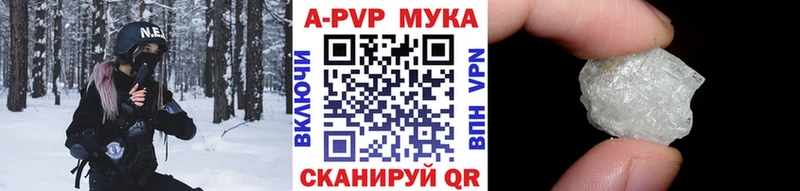 Альфа ПВП СК  Южа 