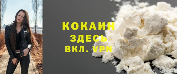 мет Елабуга