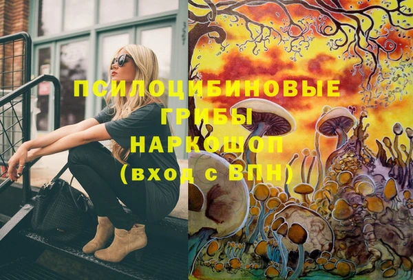 2c-b Алзамай