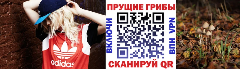 Галлюциногенные грибы мицелий Южа